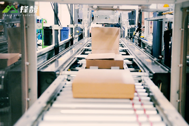 法國SAVOYE量體裁高封箱機