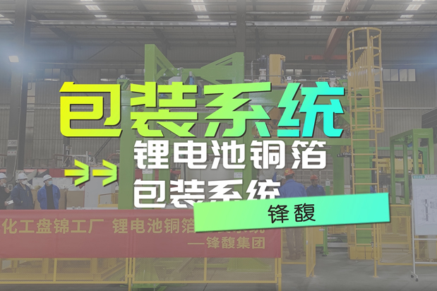 融合視覺與柔性的搬運系統