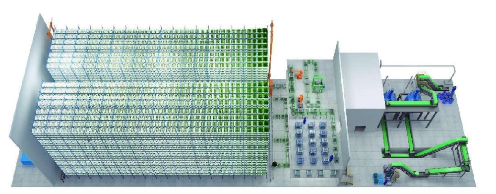 全球領工業化立體垂直農場，實現節能降耗