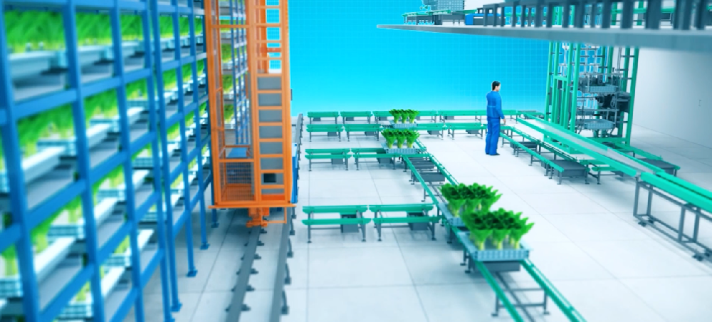 重塑農業未來！鋒馥立體垂直農場的硬核實力！