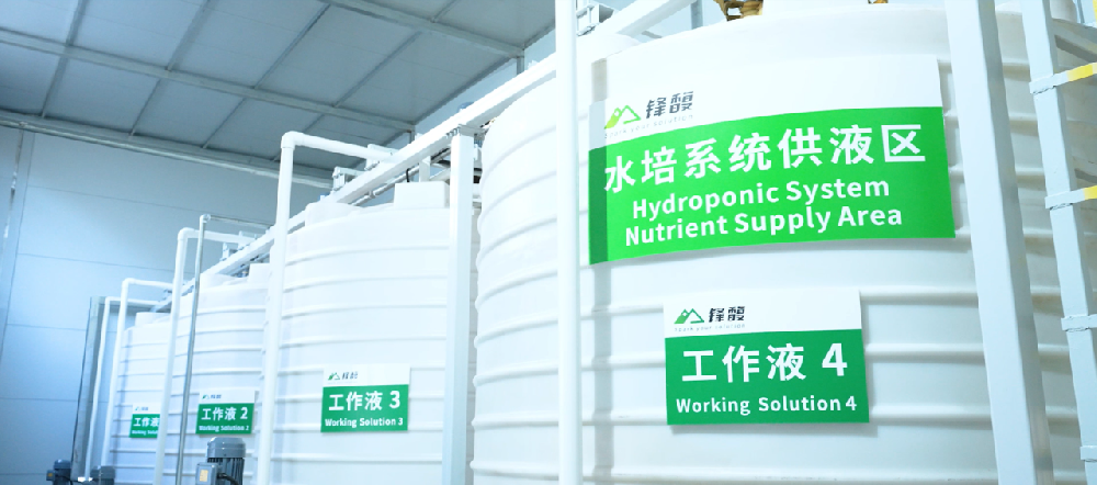 鋒馥：以科技賦能企業綠色轉型，共創可持續未來